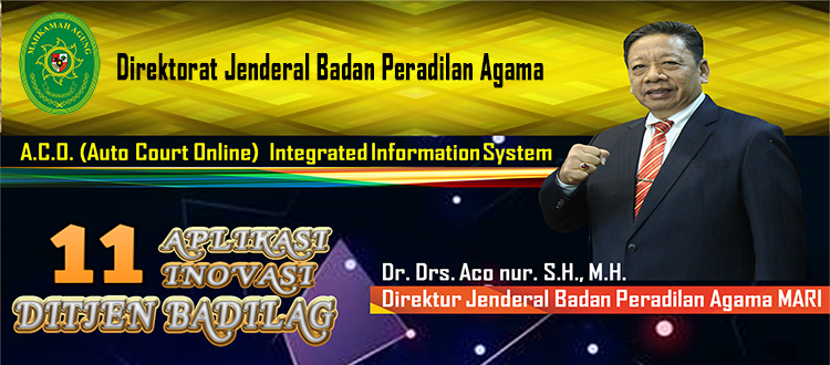 11. Aplikasi Innovasi Badilag